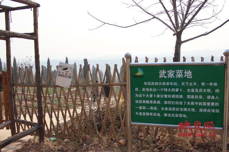 武家菜地就是這，據(jù)說里面有個(gè)特大的蘿卜