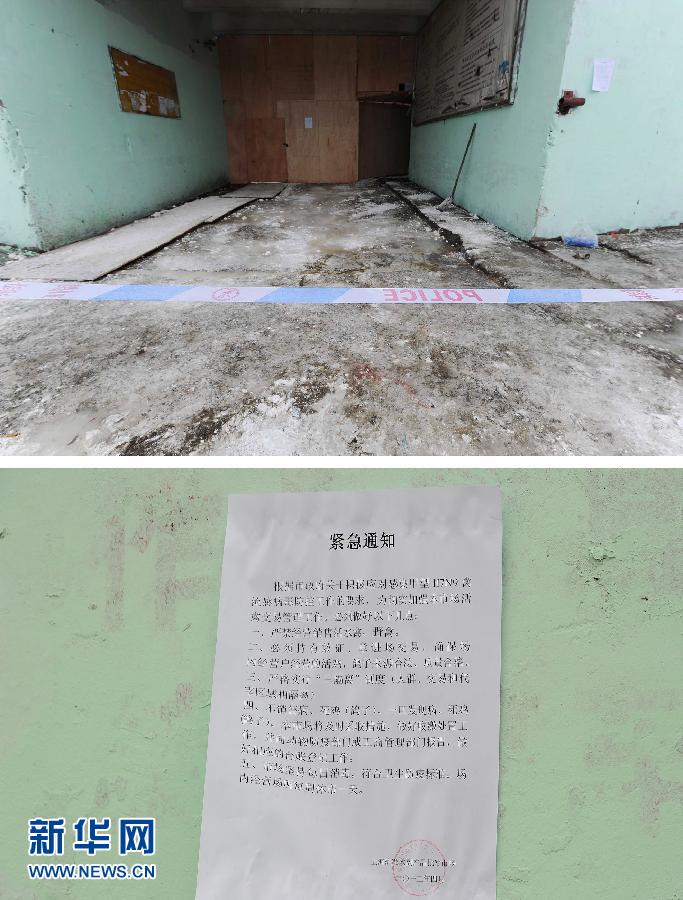 上海6日起暫?；钋萁灰?關(guān)閉所有活禽交易市場