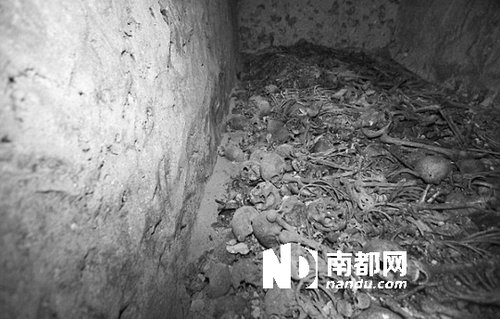 　5月29日，在以色列特拉維夫市雅法地區(qū)，一處集體墳?zāi)贡话l(fā)現(xiàn)。