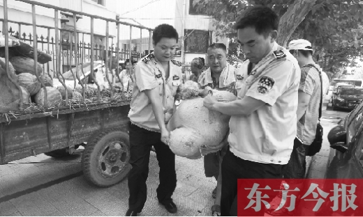 昨日，鄭州金水區(qū)執(zhí)法局的執(zhí)法隊(duì)員捐錢買瓜，替瓜農(nóng)解憂