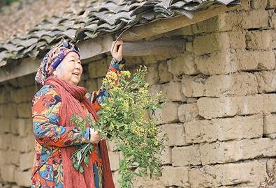公式“時尚奶奶”的賞花照，收獲了好多人的點贊。 受訪者供圖