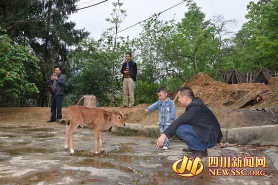 村里人知道后，前來(lái)看熱鬧