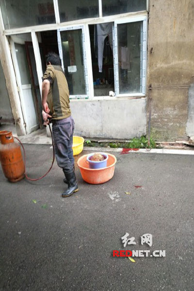 5月8日，男子在校園里殺狗，地上殘留一塊血跡。目擊者供圖。