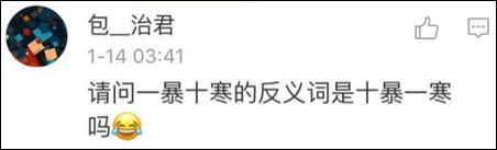 鶴立雞群？雞立鶴群！