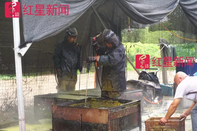 文玩核桃遇冷由幾萬一對降到5元沒人要？商戶否認(rèn)