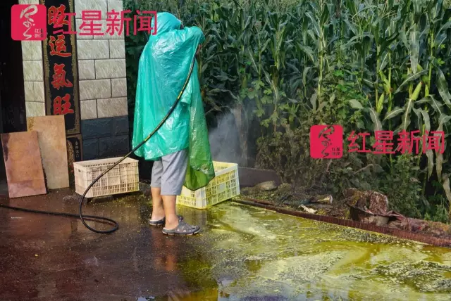 文玩核桃遇冷由幾萬一對降到5元沒人要？商戶否認(rèn)