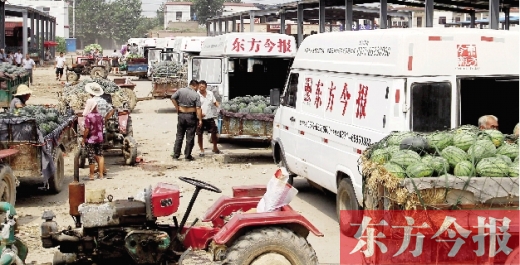 昨日，東方今報與河南福壽園聯(lián)合購瓜，只有更多的市民和企業(yè)加入購瓜行動，瓜農(nóng)們才能早日回家