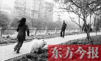 12月3日，鄭州市南關(guān)街熊兒河旁，一名遛狗的女子見到執(zhí)法人員檢查，迅速跑開