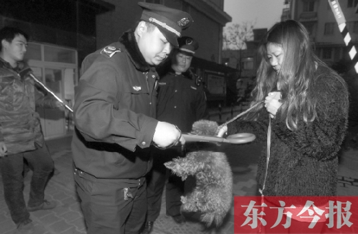 12月3日早上6點半，鄭州市南關(guān)街熊兒河旁，南關(guān)街辦事處的執(zhí)法人員對狗進(jìn)行排查