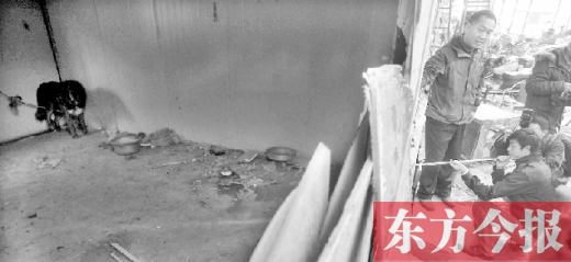 12月4日，鄭州市未來路與隴海路交叉口西側(cè)，執(zhí)法人員用吹管麻醉針對付一只藏獒