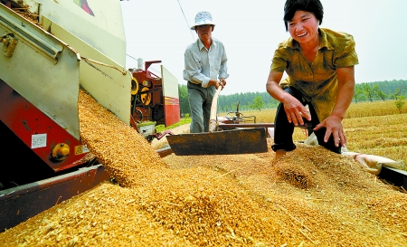 6月3日， 濮陽(yáng)開發(fā)區(qū)胡村鄉(xiāng)后范莊村的續(xù)秀萍看著新打的粒大飽滿的小麥喜上眉梢。