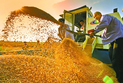 根據(jù)國家統(tǒng)計局核定結果，我省2012年糧食總產量達到1127.72億斤，成為第9個連續(xù)增產年份。