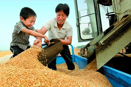 5月27日，確山縣劉店鎮(zhèn)前槽村郭景蓮和小孫子一起收獲小麥，豐收的喜悅寫(xiě)在了臉上。