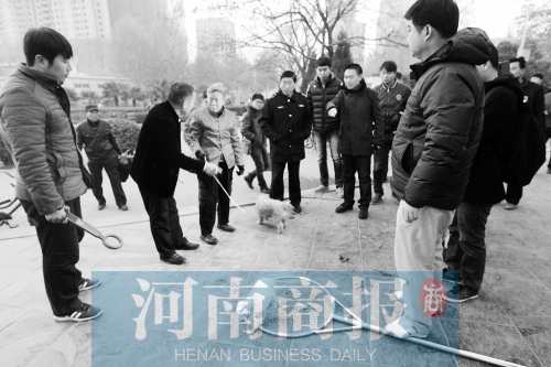 一只辦過(guò)狗證的小白狗，因?yàn)闆](méi)有拴犬鏈，被執(zhí)法人員暫扣