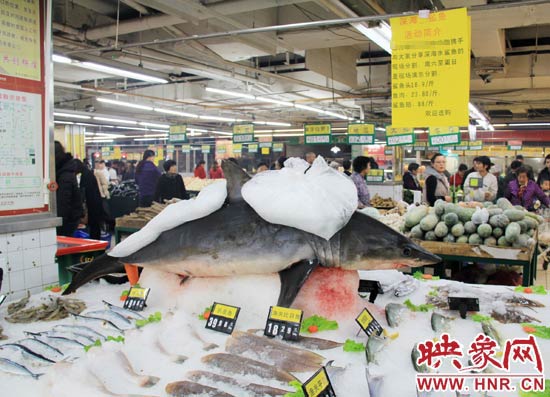 鄭州市一家超市海鮮區(qū)的冰架上赫然擺著一整條鯊魚在出售，鯊魚肉價(jià)格為23.80元每斤，遠(yuǎn)低于牛羊肉的價(jià)