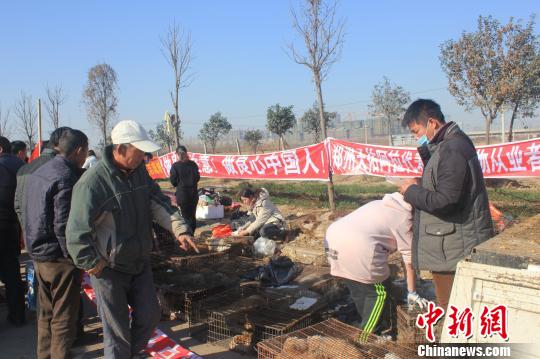 圖為百余名愛狗人士把老李的貨車攔截，數(shù)十人正在從貨車上卸下裝滿狗的鐵籠?！●R義恒　攝