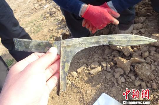 河南發(fā)掘戰(zhàn)國至東漢墓葬群 出土罕見青銅劍、戈（圖）
