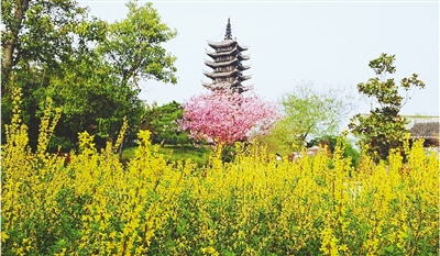綠博園盛開的鮮花“期待”和市民“約會(huì)”。