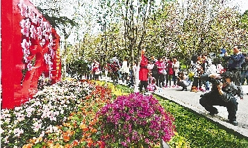 市民紛紛將鏡頭對(duì)準(zhǔn)花叢。