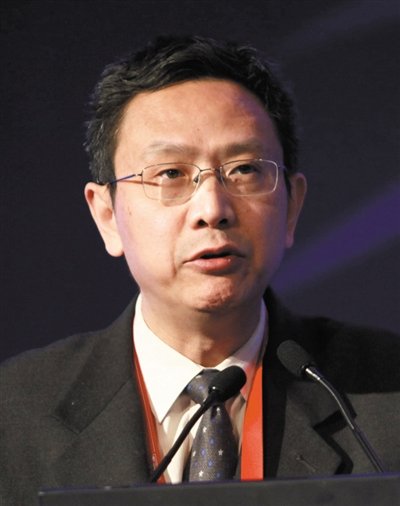財(cái)政部財(cái)政科學(xué)研究所所長賈康。圖/CFP