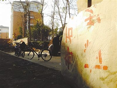 昨日，“上海奇石盆景博物館”原址上，已矗立起小區(qū)樓盤，而刻著博物館名的巨石，廢棄在一旁。本版圖片/新京報(bào)記者 張永生 攝