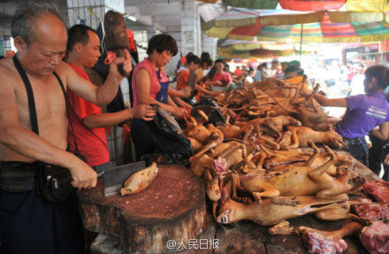 玉林狗肉節(jié)。