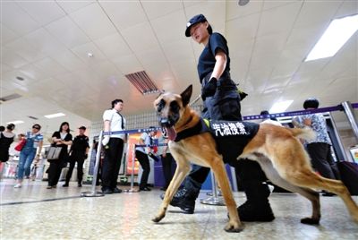 地鐵王府井站搜汽油警犬在安檢口巡邏。新京報記者 王貴彬 攝