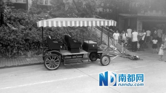 園方則稱解剖后發(fā)現(xiàn)馬死于心臟衰竭，“與累無關(guān)”。