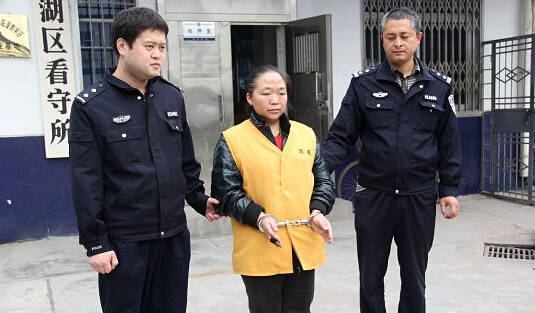被抓的王某，網(wǎng)友稱(chēng)：這不是大明湖畔的容嬤嬤么