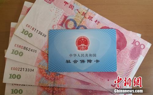 資料圖。中新網記者 李金磊 攝