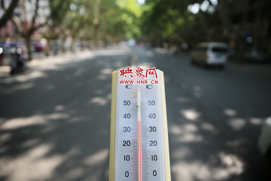 7月8日下午15時(shí)30分，人民路樹陰處溫度為36度，比人防納涼處高11度。