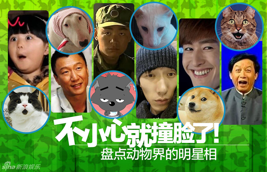 不小心就撞臉了！盤點動物界的明星相