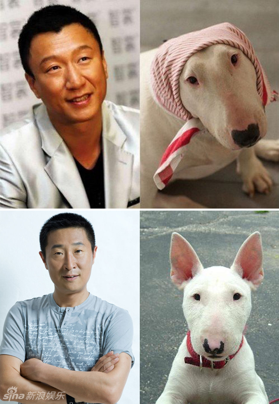 不小心就撞臉了！盤點動物界的明星相