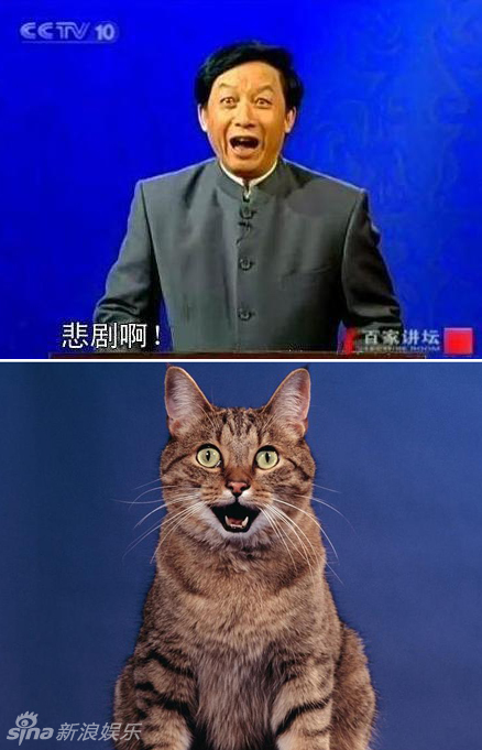 不小心就撞臉了！盤點動物界的明星相