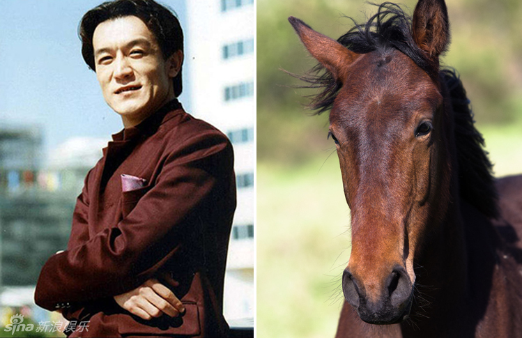 不小心就撞臉了！盤點動物界的明星相