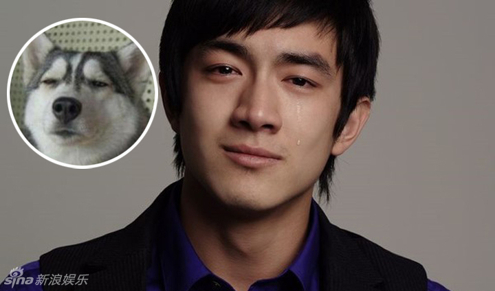 不小心就撞臉了！盤點動物界的明星相