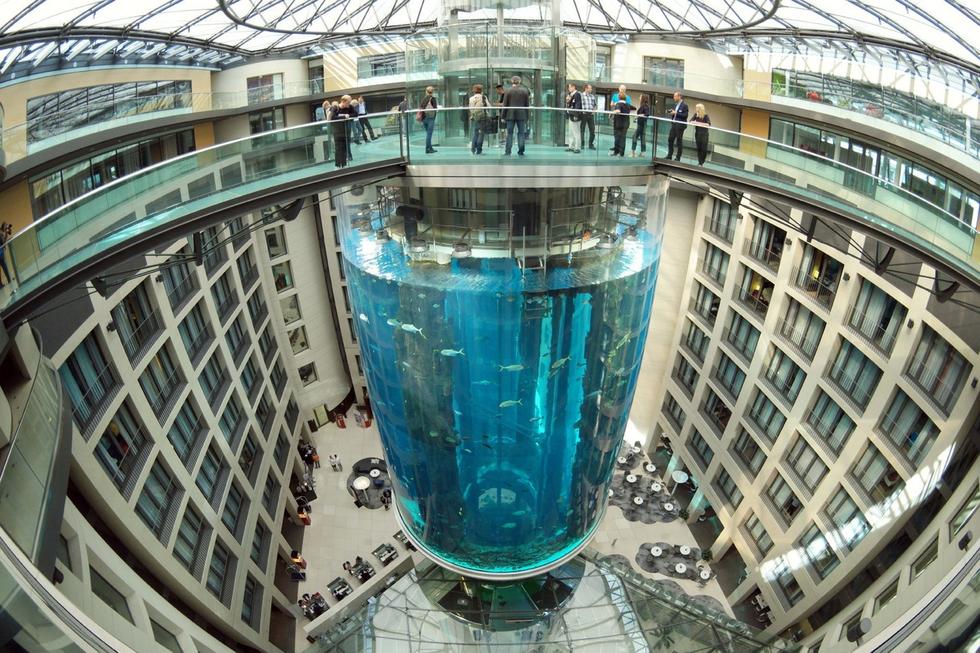 在圓柱水族館主體下方，還有一些別的展館。