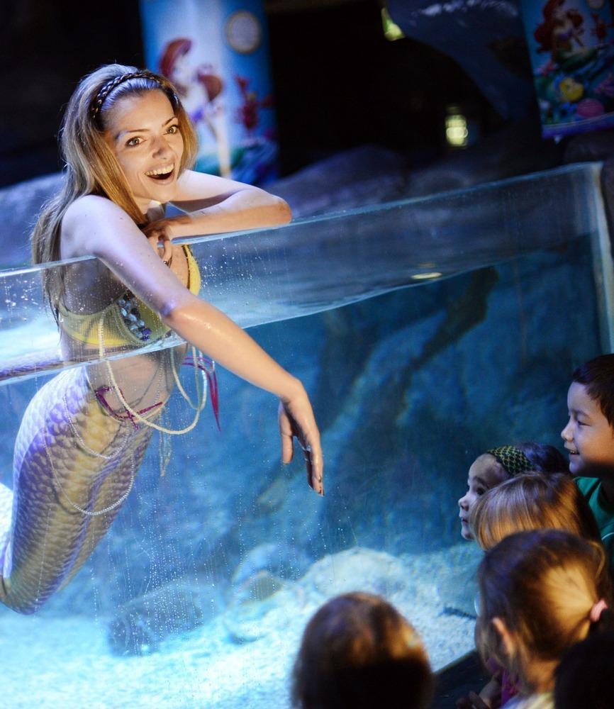 德國女演員安妮·門登在水族館里客串了一把“美人魚”，順便為她的電影《小美人魚》做宣傳。
