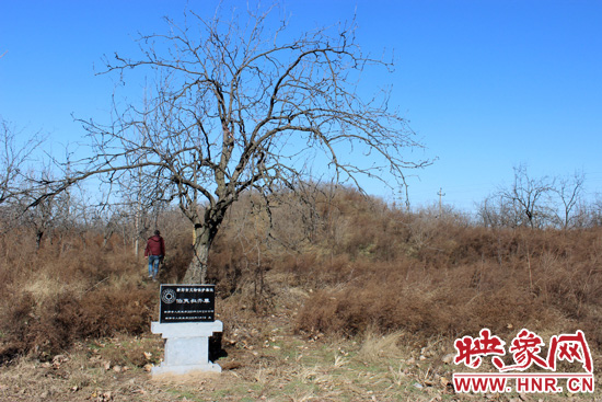 在叔齊墓的前面，豎著新鄭市人民政府今年剛立的石碑，上面寫著“新鄭市文物保護(hù)單位”。