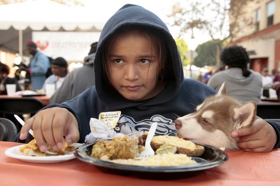 11月21日，加州洛杉磯的游民巷，12歲的堂娜·赫南德茲抱著愛犬“湯米”，安靜地吃著免費(fèi)的感恩節(jié)飯菜