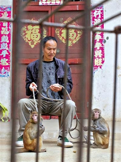 10月13日，耍猴人鮑慶山牽著從牡丹江帶回的兩只小猴在家門口玩耍。