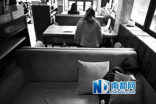 12月12日上午，不打烊書店里，12歲的楊東吃完午飯后抱著抱枕蜷在沙發(fā)里睡覺。