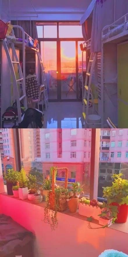 這個(gè)學(xué)校的男生宿舍火了！女同學(xué)都喊著要嫁