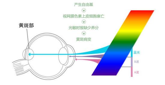 真能亮瞎眼？如何減少手機對眼睛的傷害