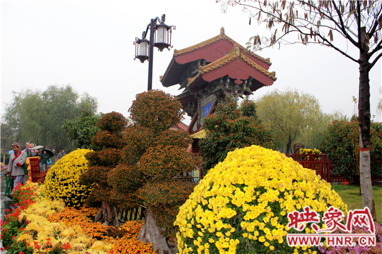 天好、花美 中國(guó)開封第32屆菊花文化節(jié)延長(zhǎng)一周