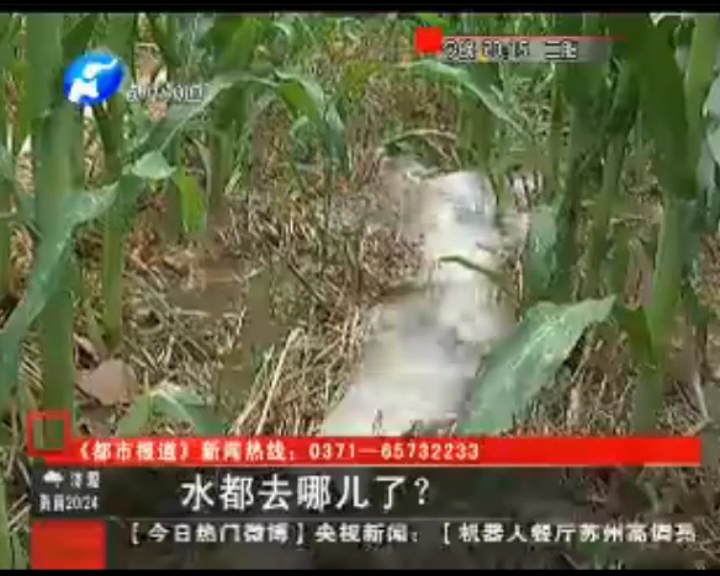 水都去哪了？