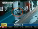 高速邊苦等十三天 主人你在哪里？