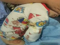 猛獸出沒 注意！2歲男童在動(dòng)物園被白虎咬掉右臂