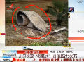南京某小區(qū)現(xiàn)豪華狗墓地 價(jià)值超500萬(wàn)