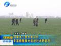 河南省小麥長勢(shì)良好 專家提醒要分類進(jìn)行水肥管理